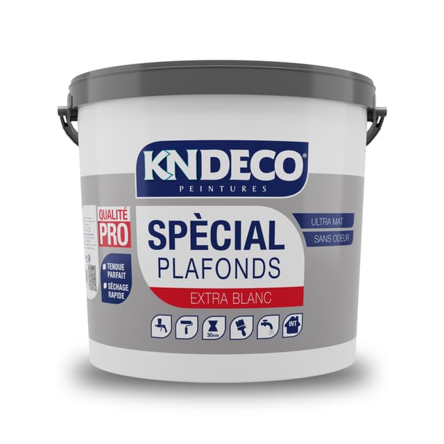 kndeco-peinture-special-plafonds-bidon-algerie.webp