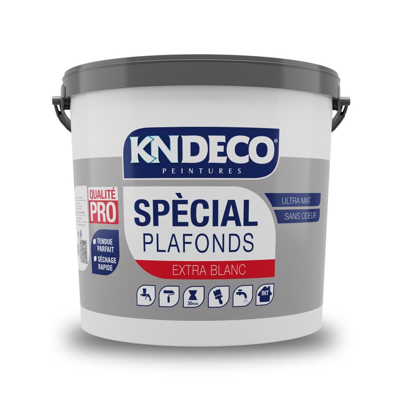 kndeco-peinture-special-plafonds-bidon-algerie.webp